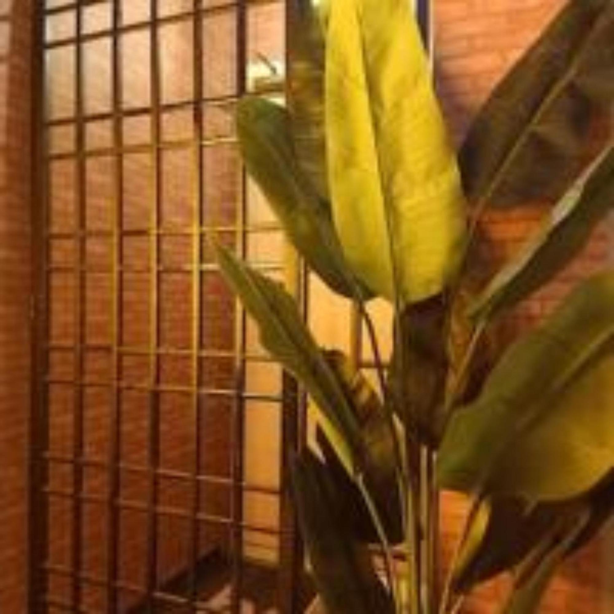 Sabai Sabai Guesthouse In 峇六拜 外观 照片